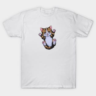 a brown, black, and white cat T-Shirt